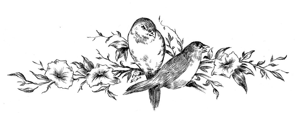 birds on branches border drawing clipart