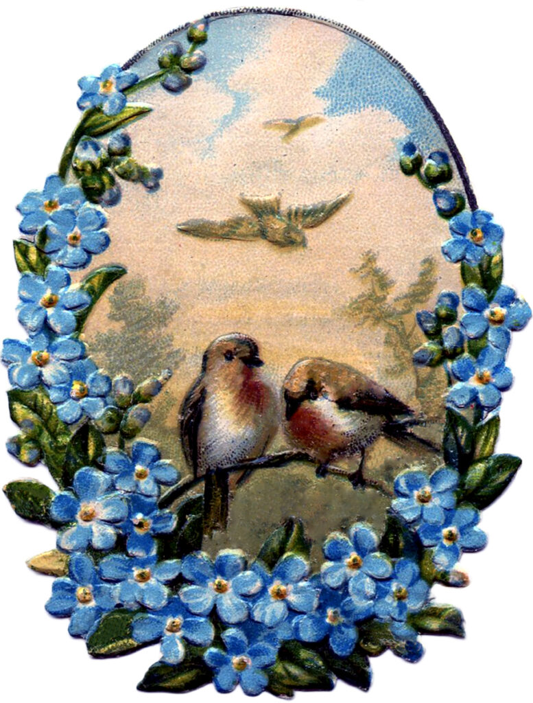 Birds on Blue Forget me nots clipart