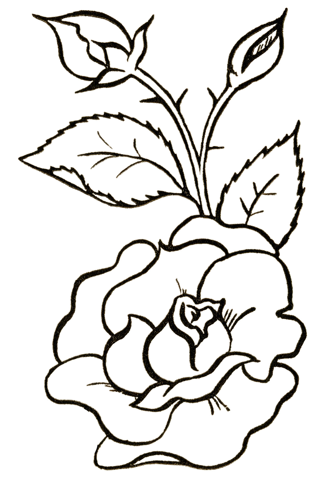 Black and White Flowers Clipart
