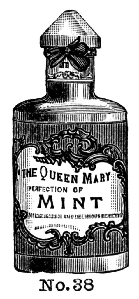 vintage bottle mint oil clipart
