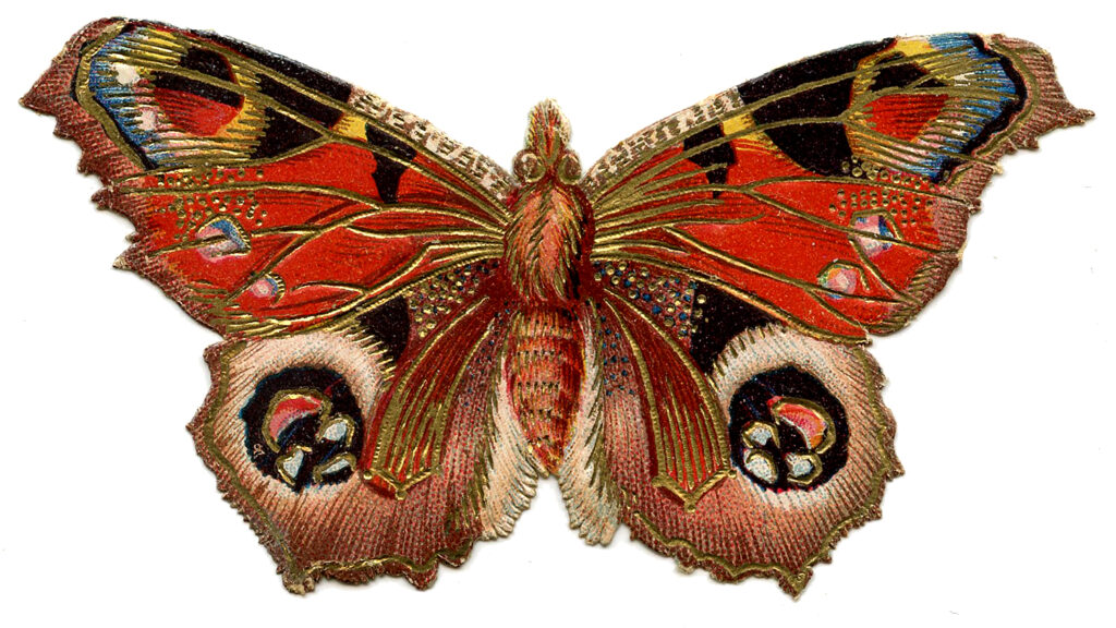 red gold butterfly Victorian scrap image