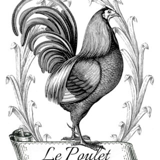 French Rooster image