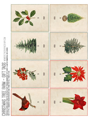assorted vintage images gift tags
