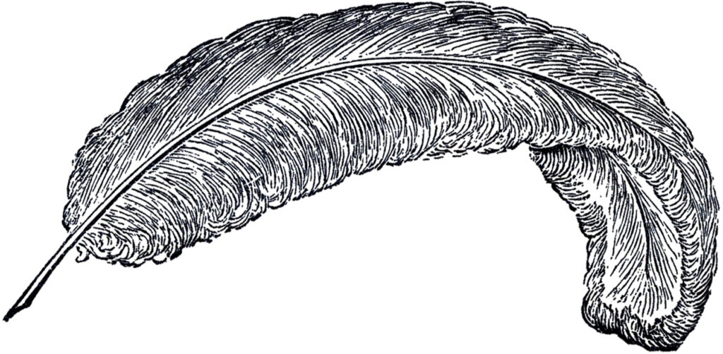 vintage feather quill clipart