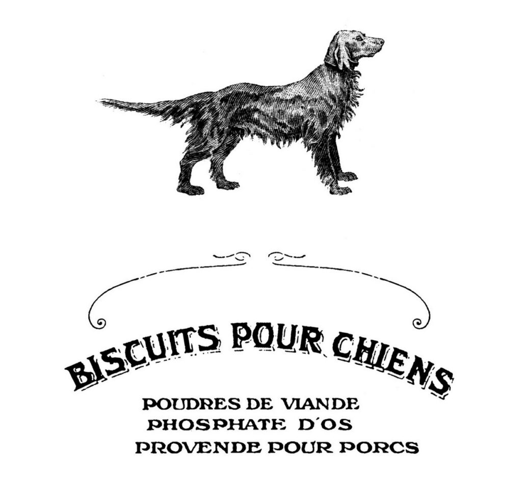vintage French dog biscuit advertising image
