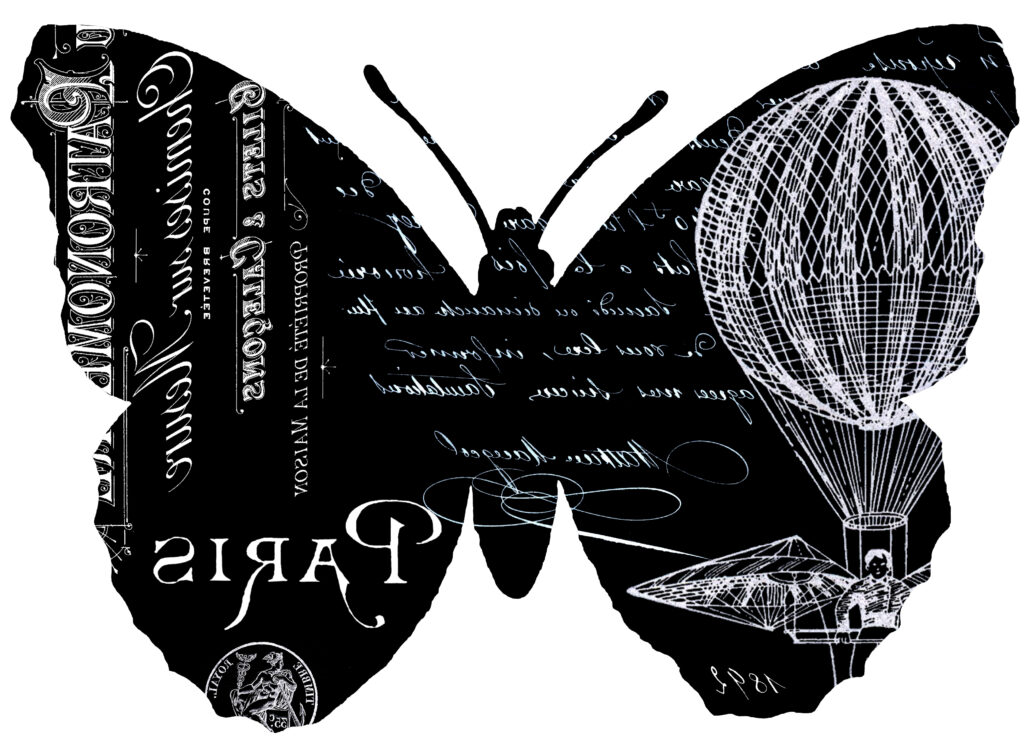 butterfly collage black background mirror transfer reverse image