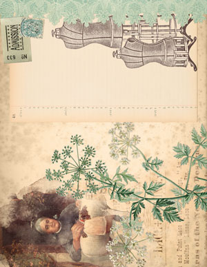 dress form ephemera wildflower lacemaker collage journal page