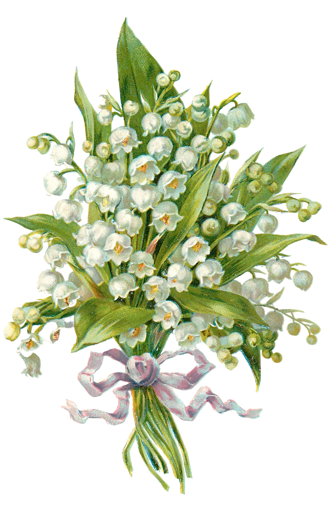 Lily of the Valley Floral Bouquet Images