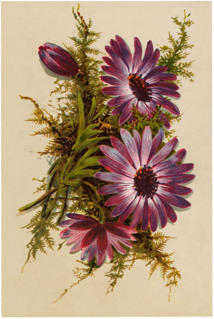 vintage purple flowers image