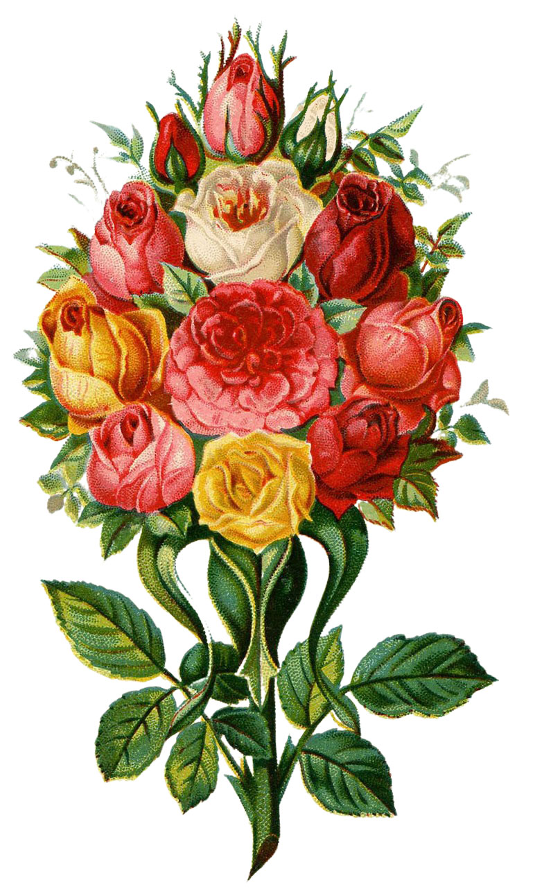 Roses Bouquet Image