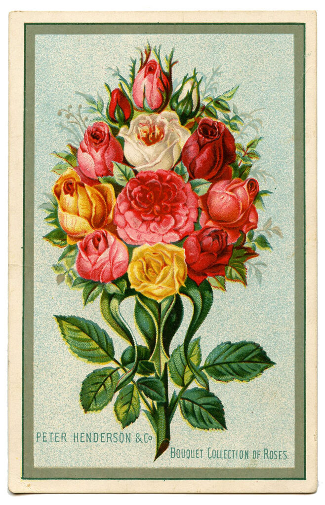pink yellow white red roses bouquet vintage advertising image