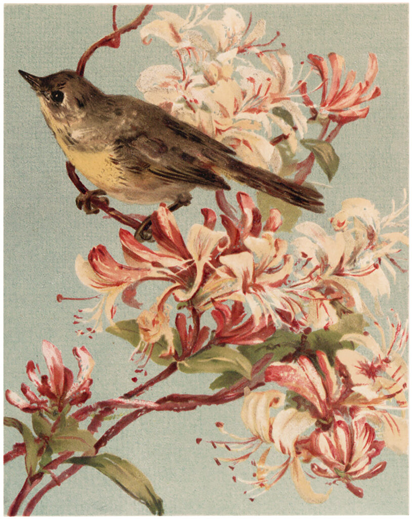 bird on pink flowers image