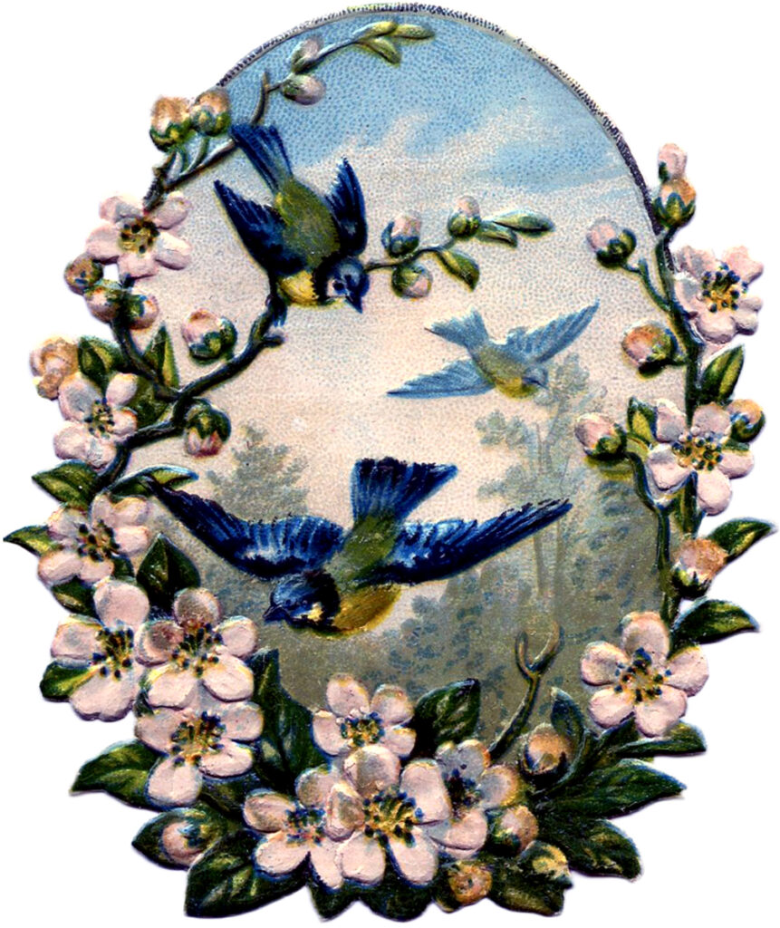 blue birds with pink flowers graphic