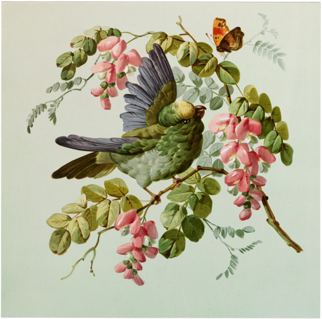 bird with flowers and butterfly image