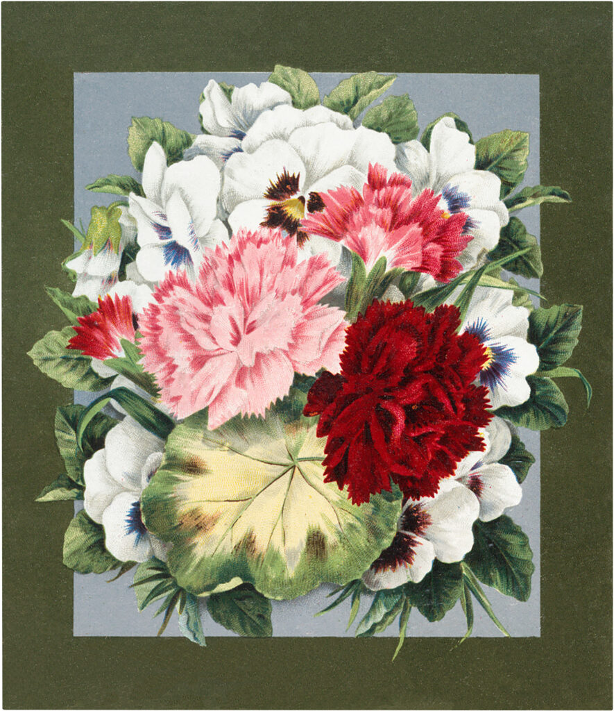 pink red carnations pansies bouquet image