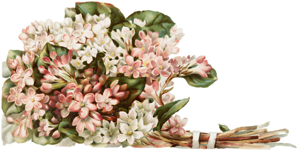 vintage pink white flower bouquet image