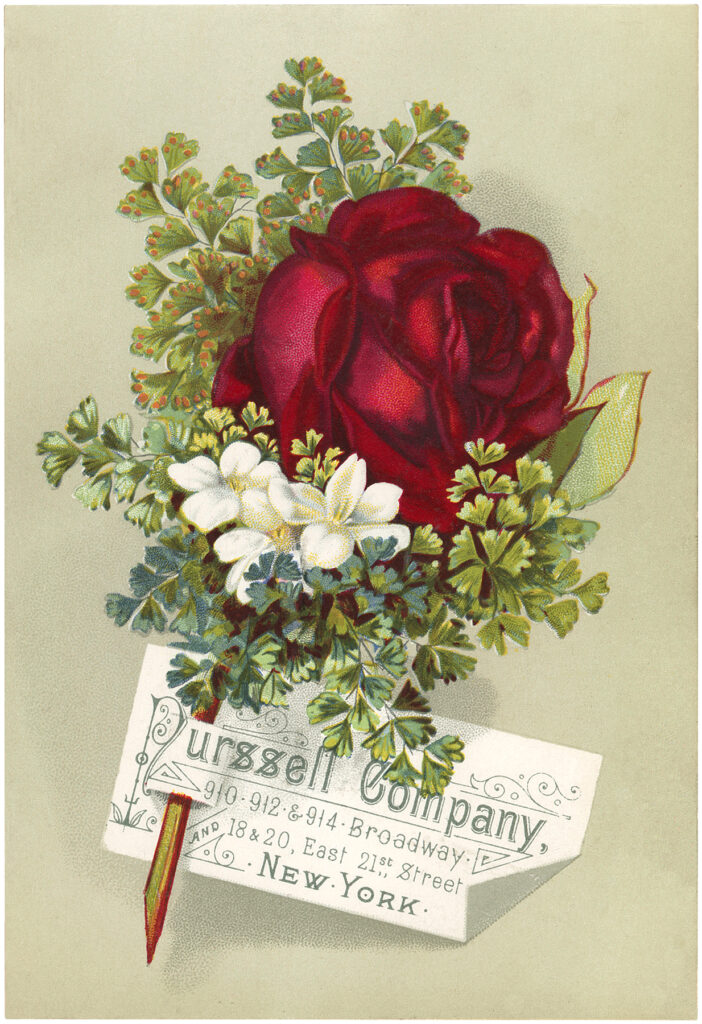 vintage red rose corsage advertising image