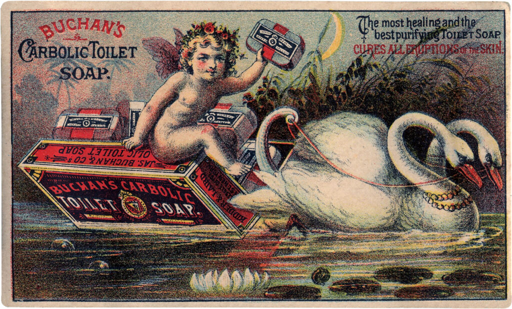 vintage cherub swan boat image