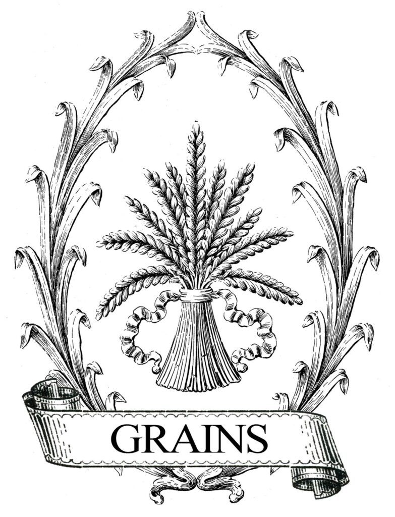 wheat sheaf leaf frame vintage grain image