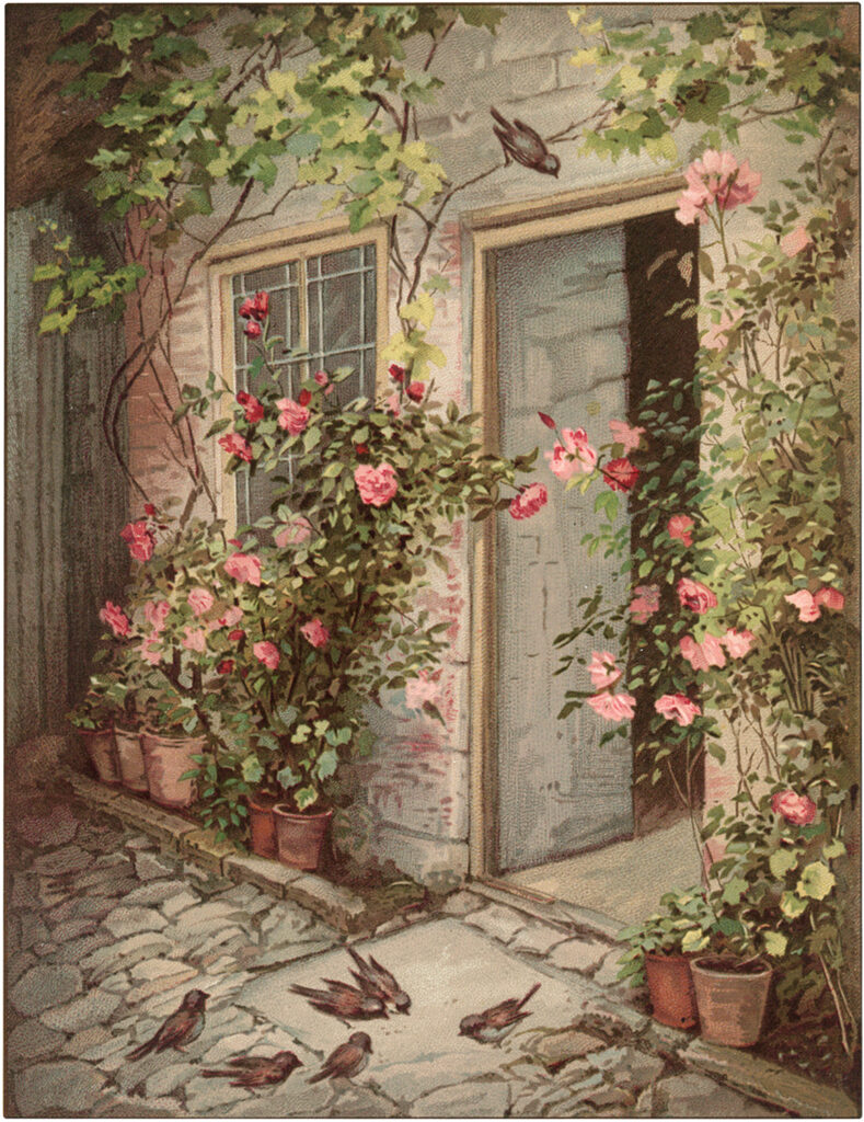 Vintage Cottage Door with Pink Roses Image