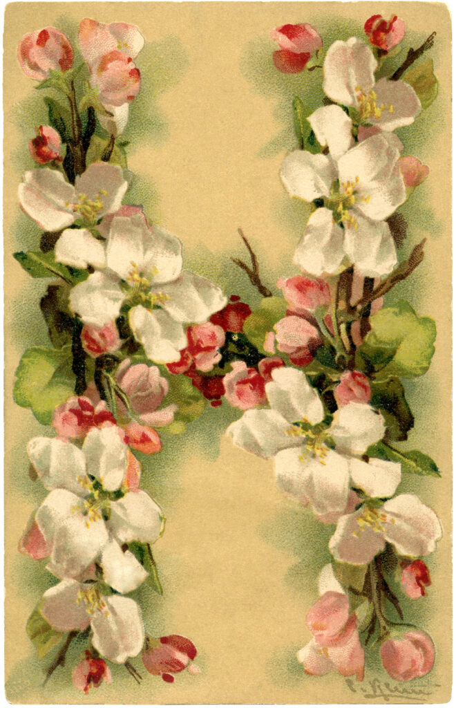Vintage Floral Alphabet Letter H Image
