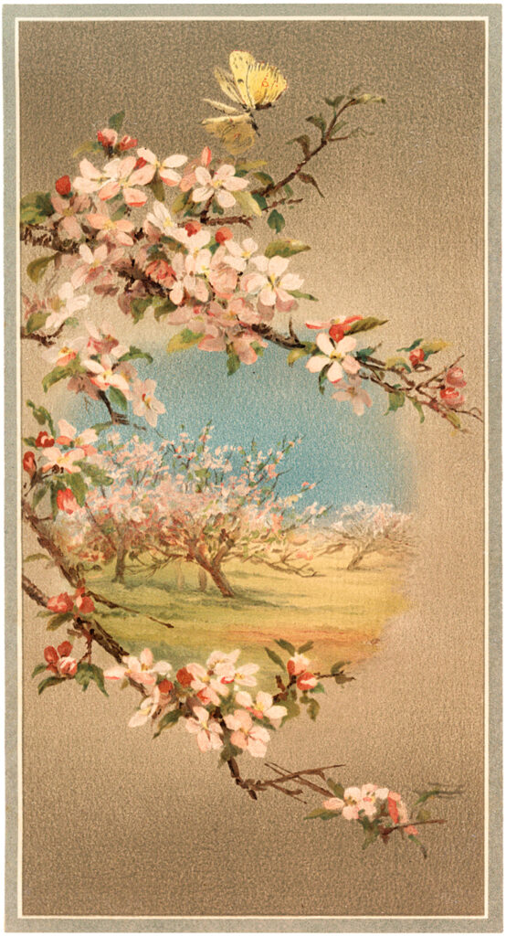 Vintage Flowering Branch Landscape Image