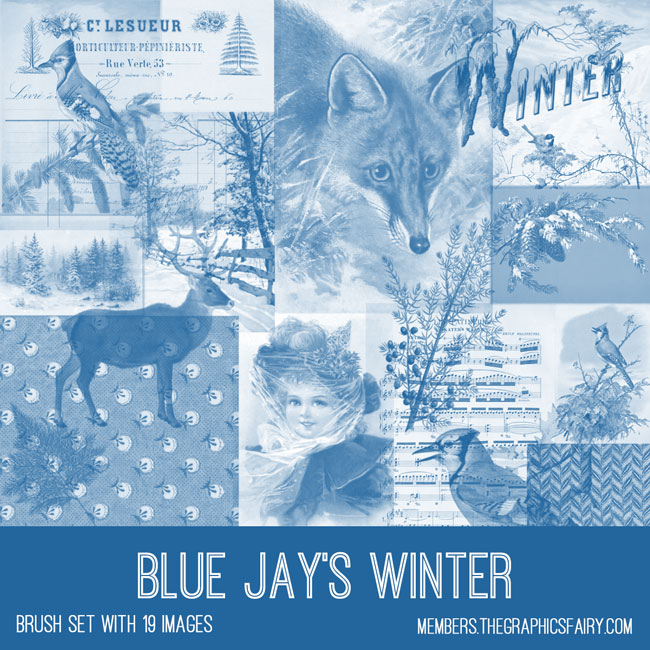 vintage Blue Jay's Winter ephemera brush set