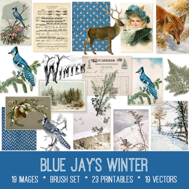 Blue Jay's Winter ephemera vintage images