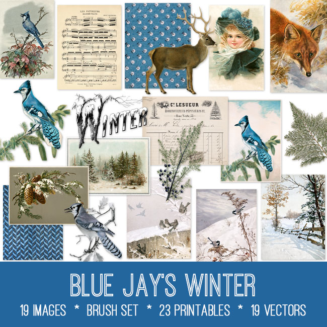 9 Blue Jay Images - Bluejay Bird Pictures! - The Graphics Fairy