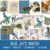 vintage Blue Jay's Winter ephemera bundle