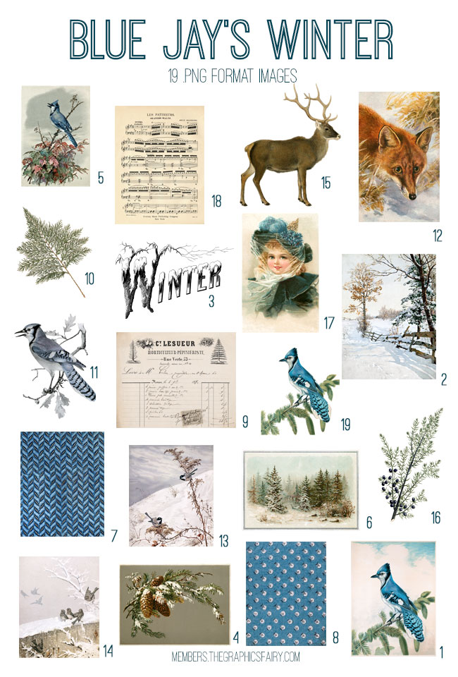 vintage Blue Jay's Winter ephemera digital image bundle