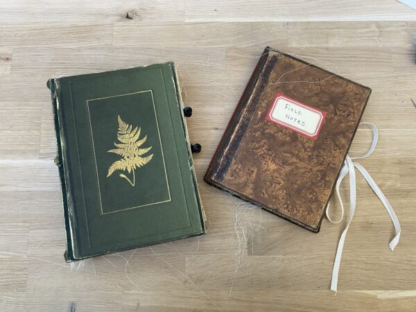 Two junk journal book covers