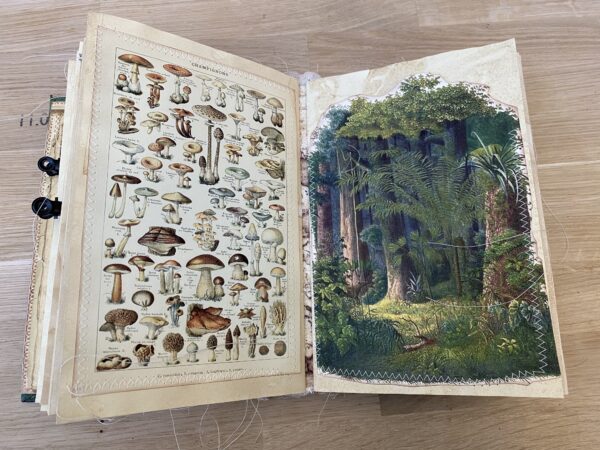 Junk journal spread with mushroom images 
