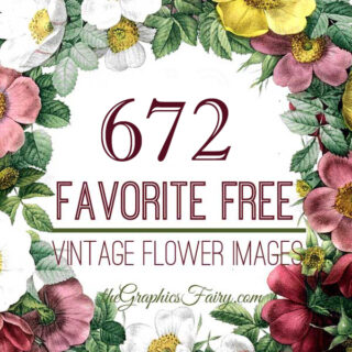 Best Free Vintage Flower Images