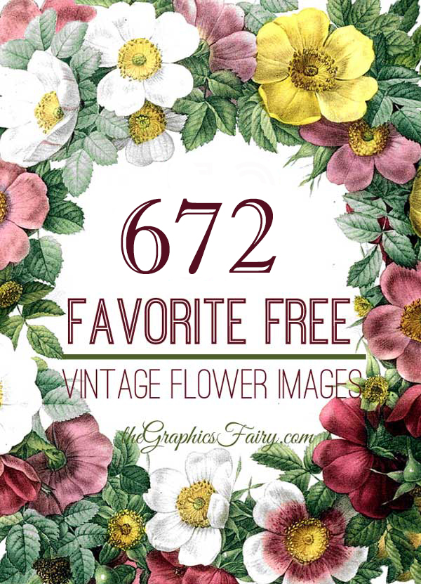 672 Vintage Flower Images! - The Graphics Fairy