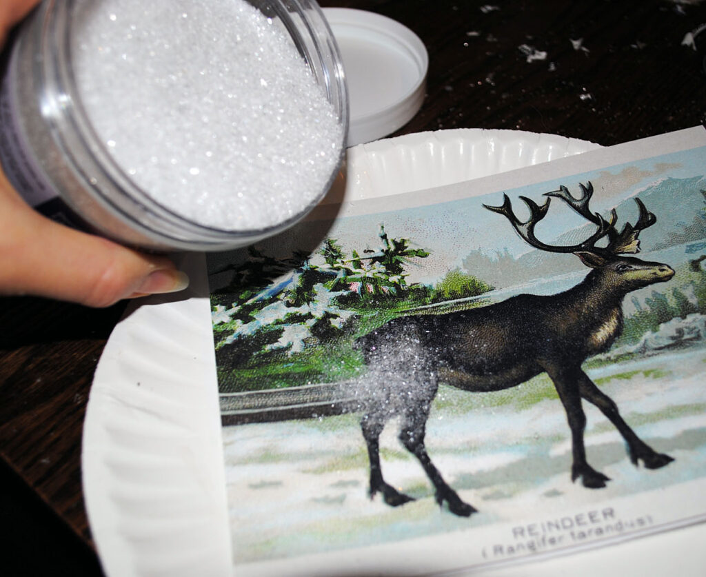 Adding Glitter Snow