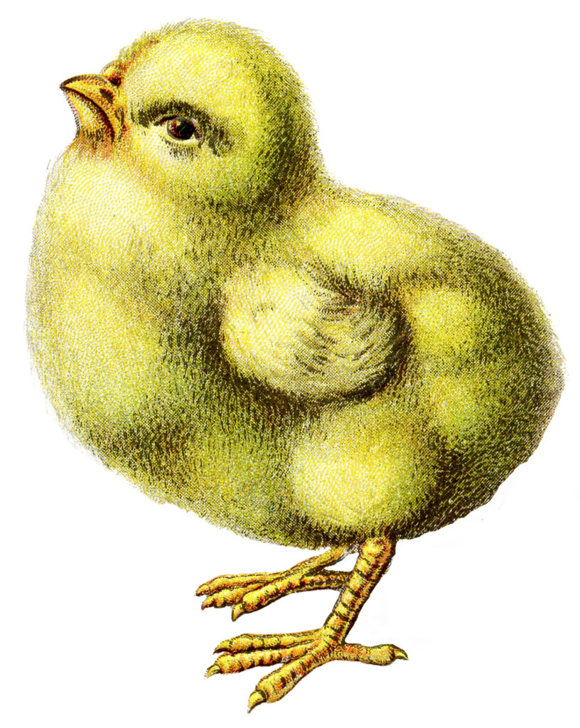 Happy Easter Chick Peep