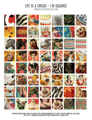assorted Life is a Circus one inch squares