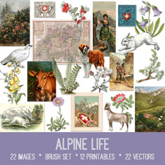 vintage Alpine Life ephemera Bundle