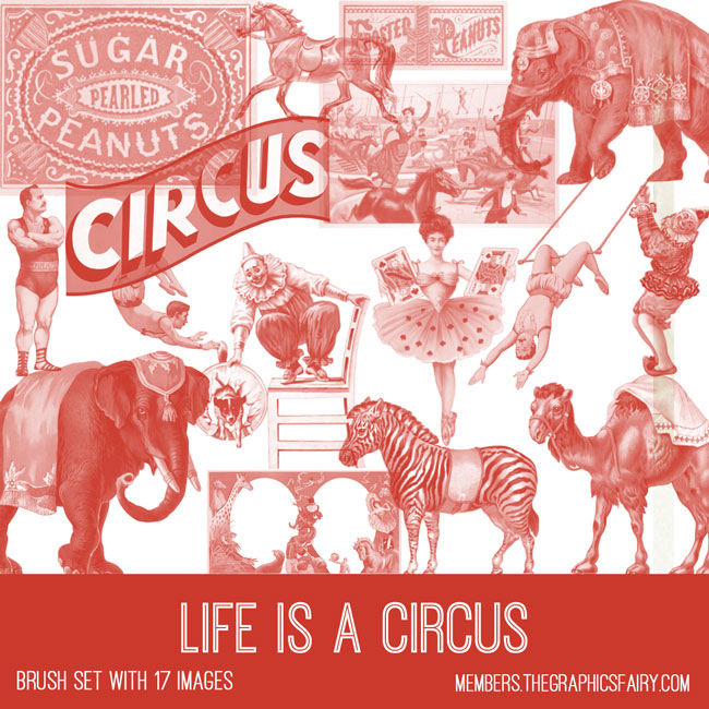 Life is a Circus ephemera brush set