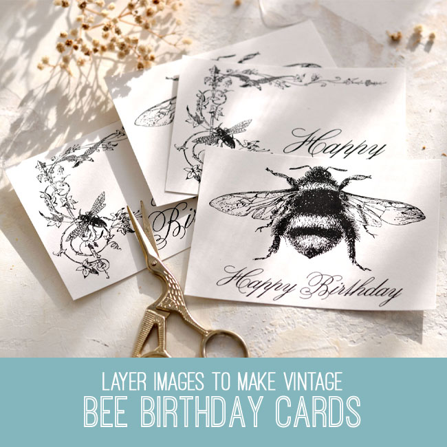 Bee Birthday Cards Photoshop Elements Tutorial