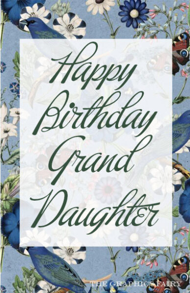 Birthday Card for Grand Daughter