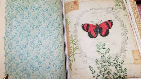 Junk journal spread with red butterfly