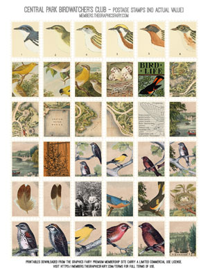 Assorted Central Park Bird Watcher's Club Postage Stamps