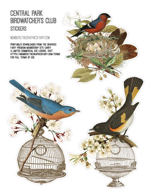 Central Park Birdwatcher's Club Assorted Printable Stickers