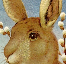 Easter Bunny Graphic