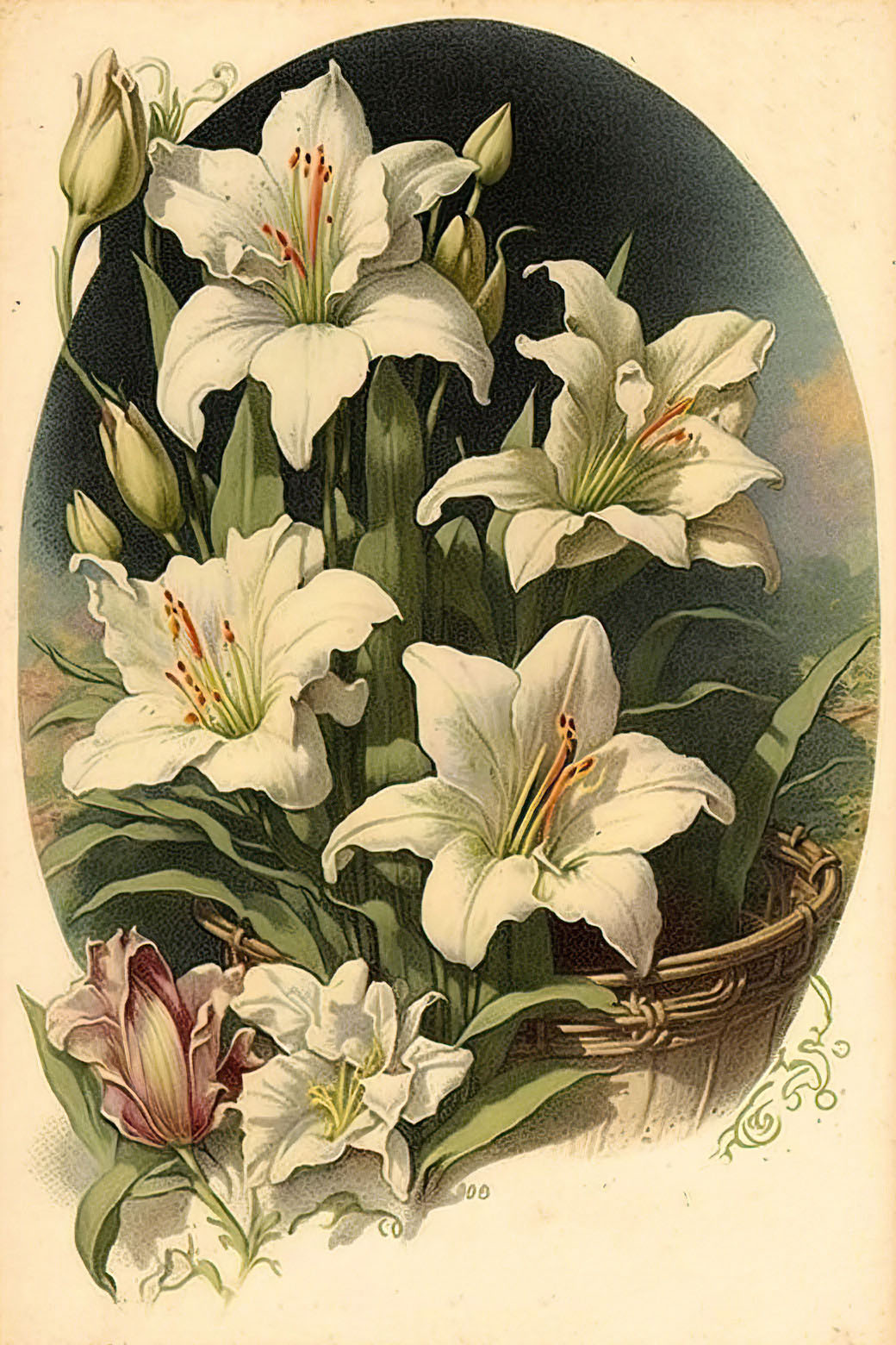 Easter Lilies in Basket