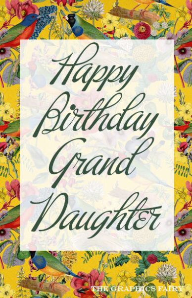 Grand Daughter Birthday Image