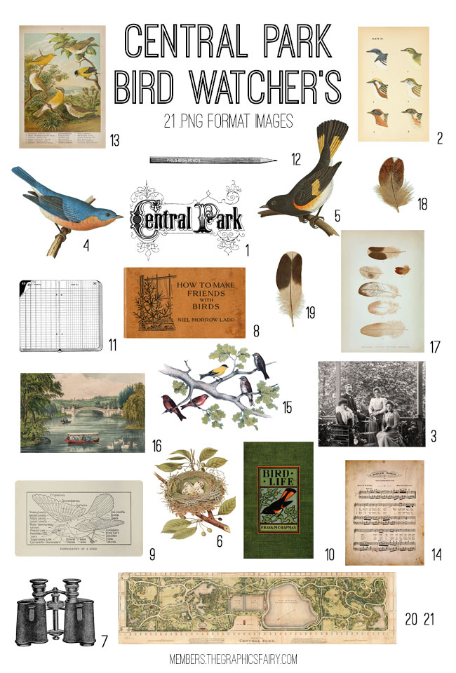 vintage Central Park Bird Watcher's ephemera digital image bundle