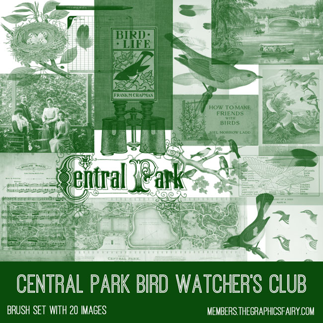 vintage Central Park Bird Watcher's Club ephemera brush set